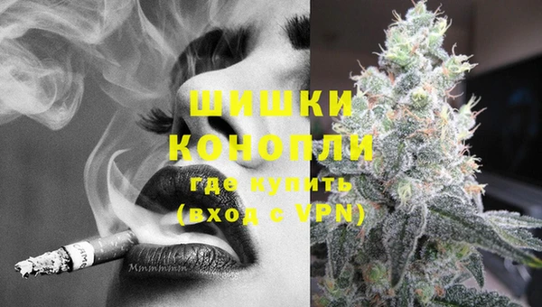 гидропоника Пересвет